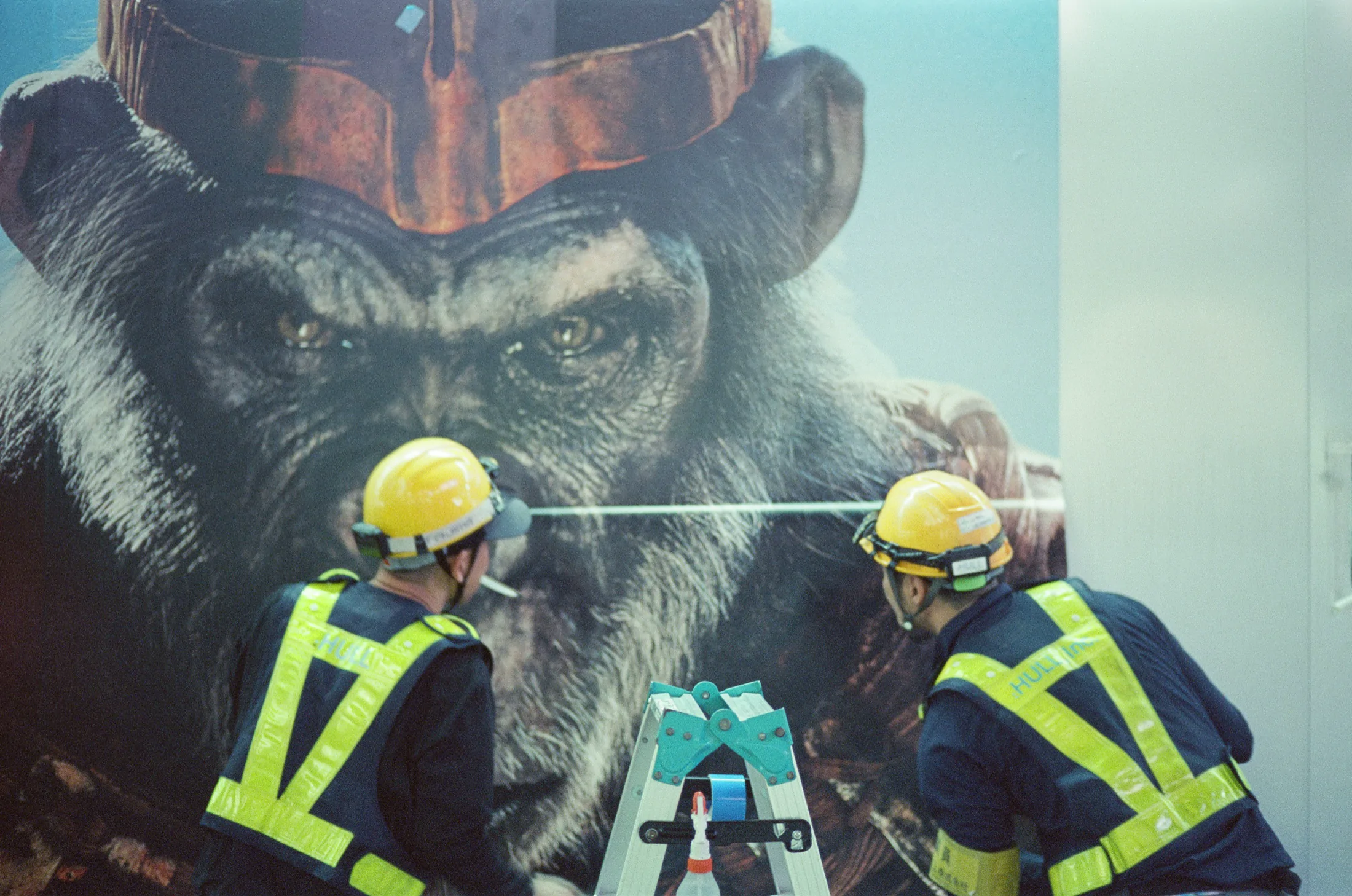 Project Workers image 2