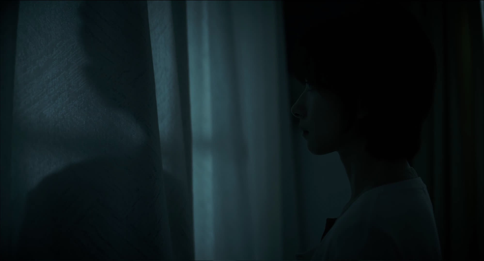 Blue window silhouette from The Person in the Shadow