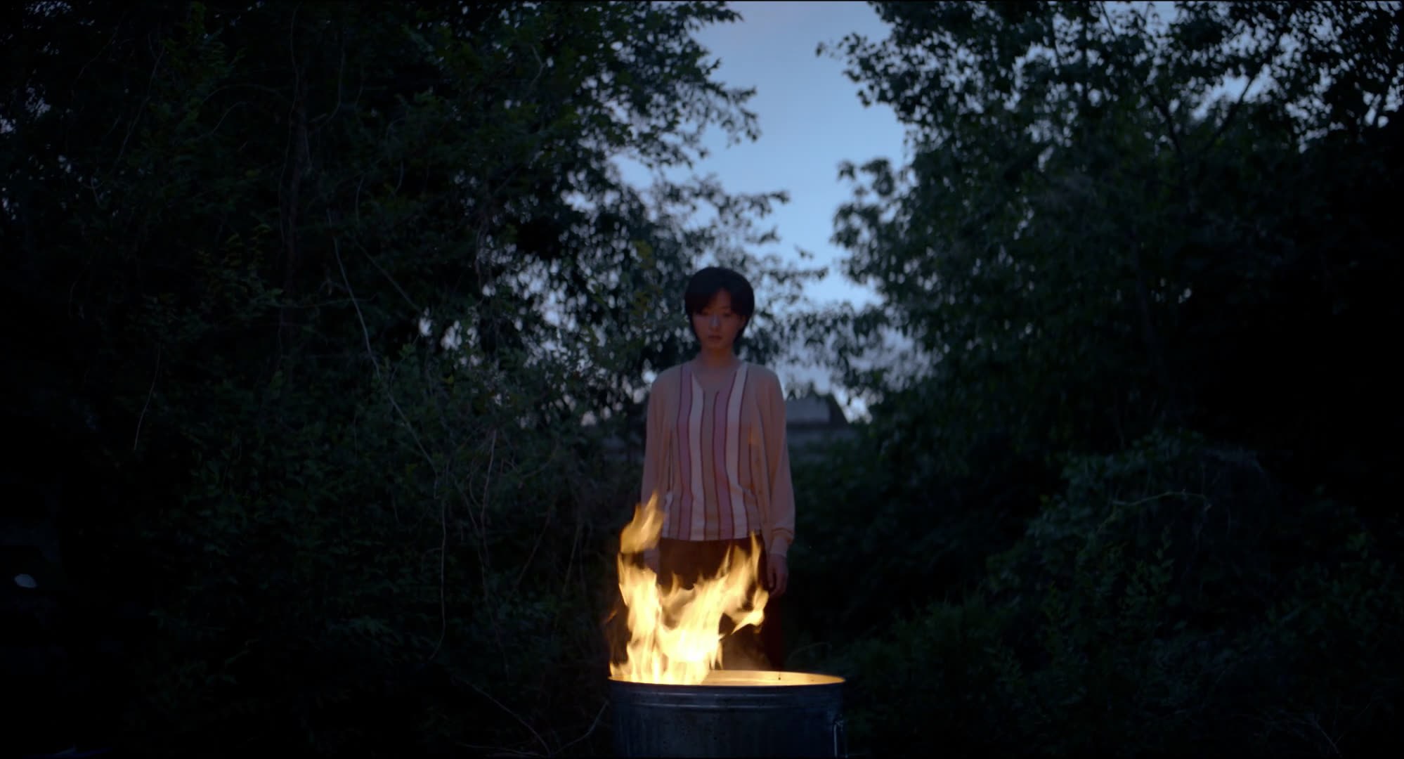 A person standing behind a fire at dusk