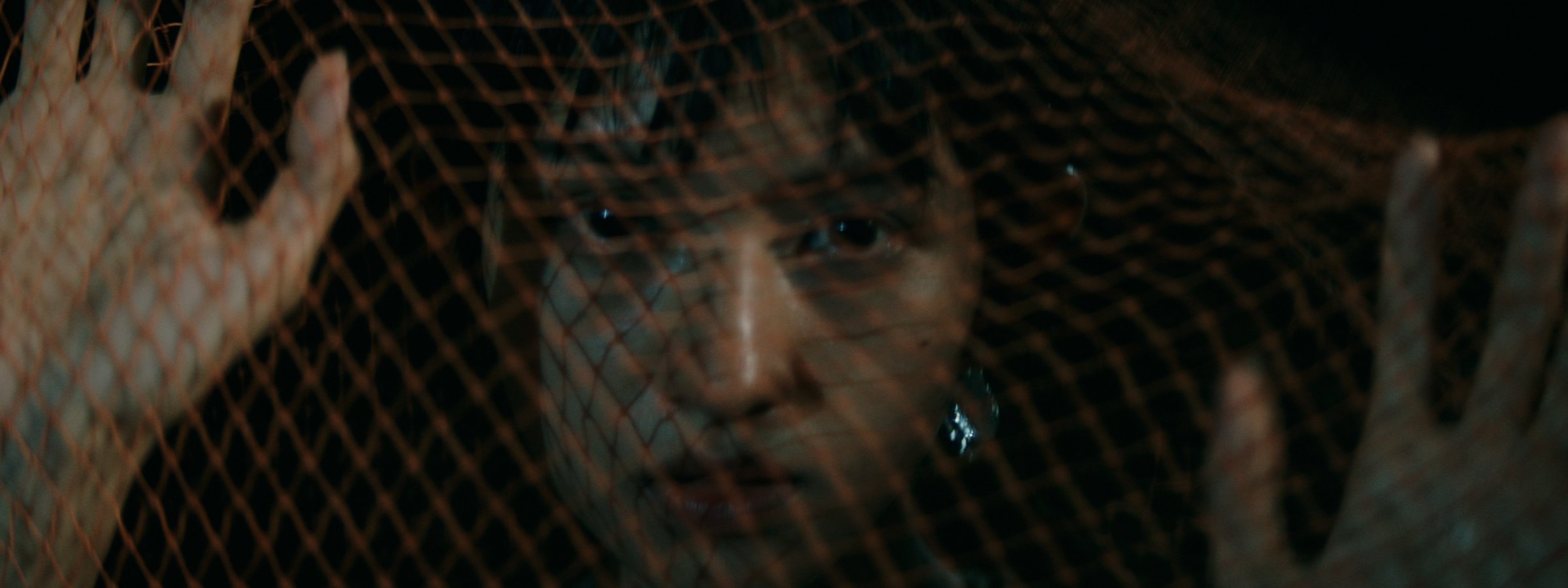 A face behind netting