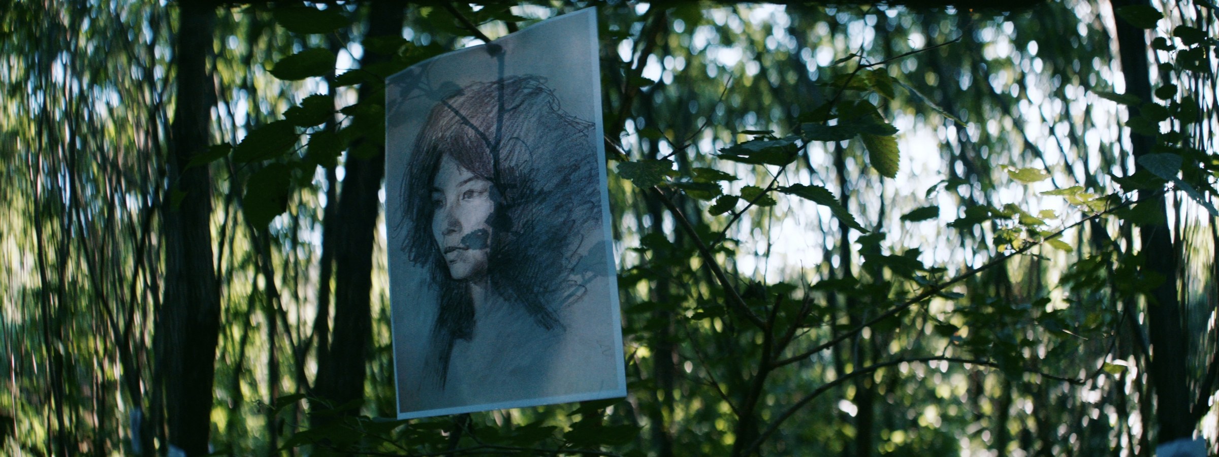 A portrait image hanging among trees