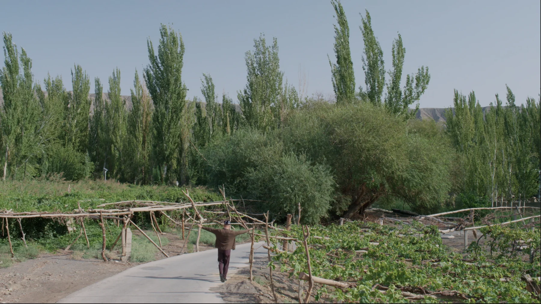 好喝酒馆 still 31