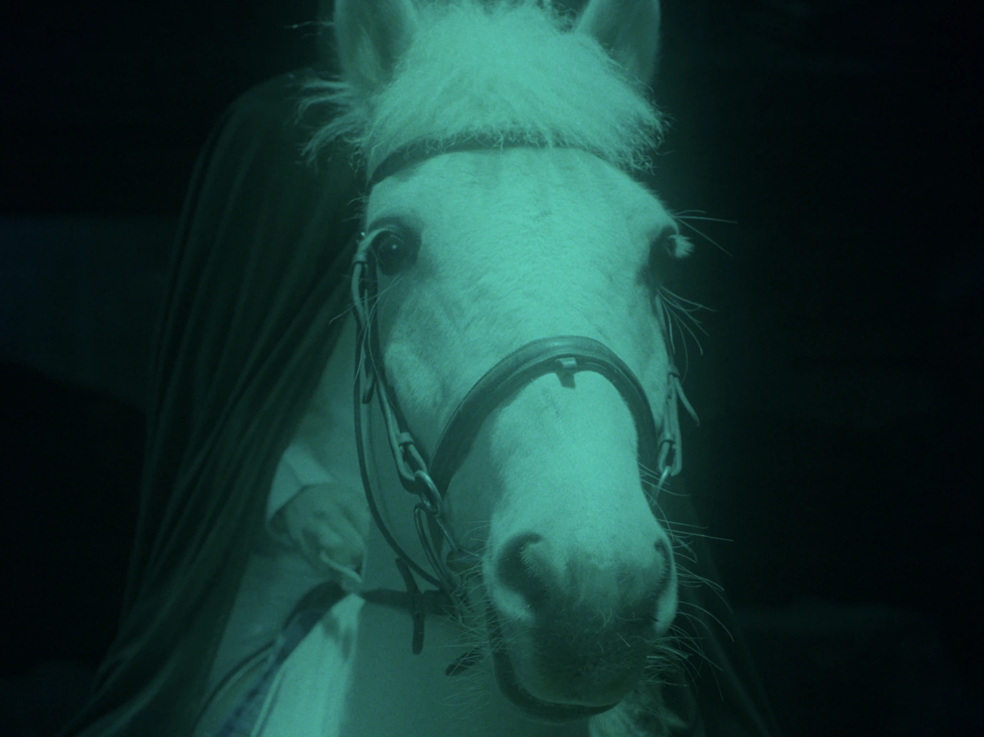 夜行登霄 still 15