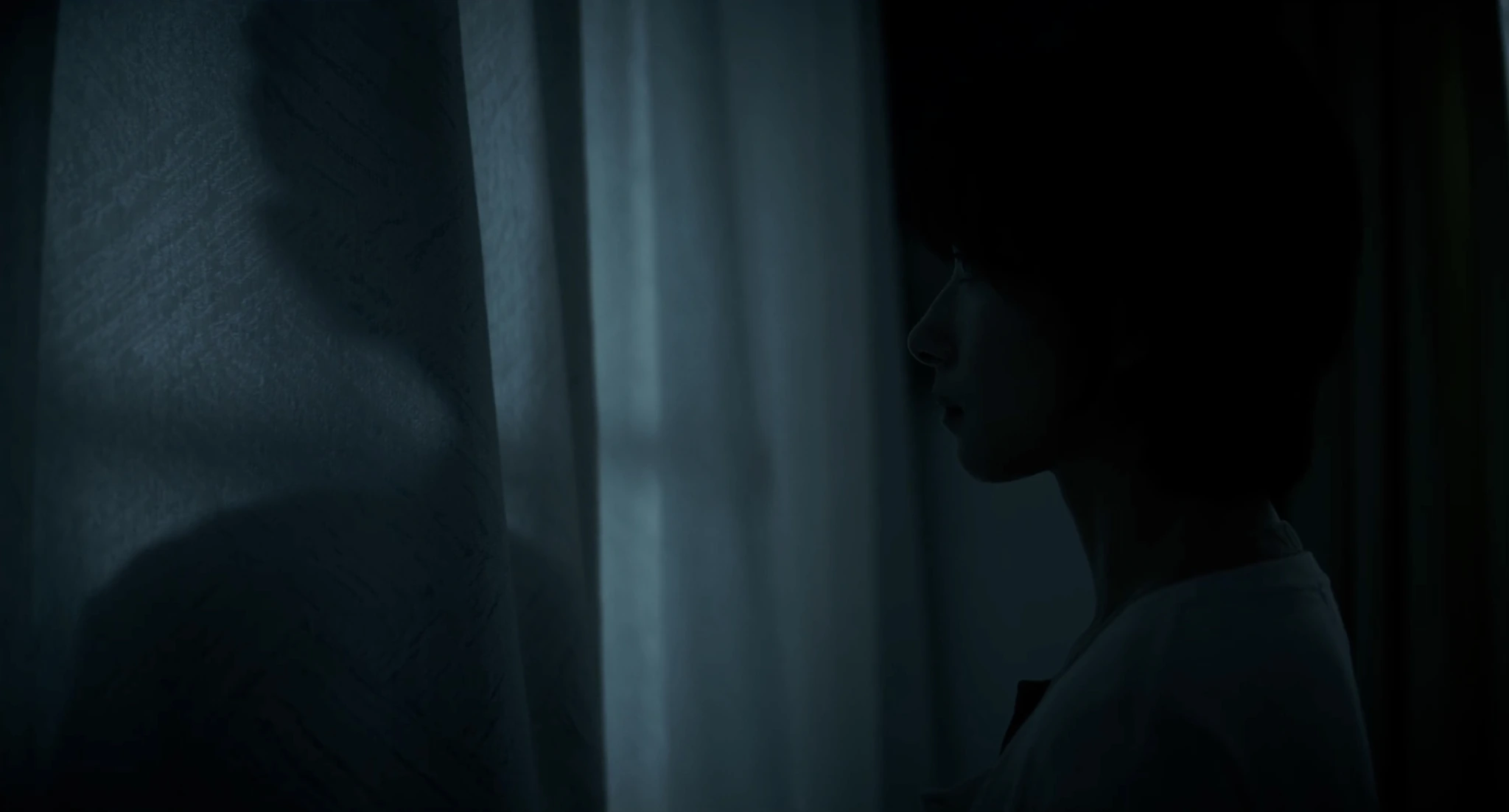 影子里的人 still 5